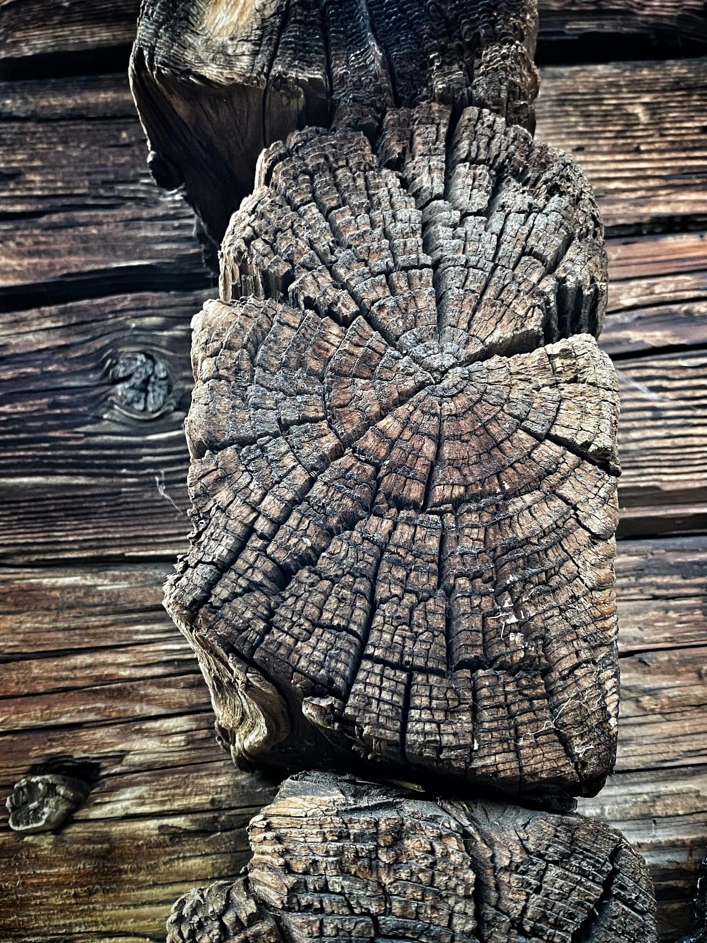 Wiener Fotomarathon Wettbewerb